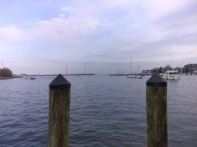 IMG_20201121_135920893.jpg