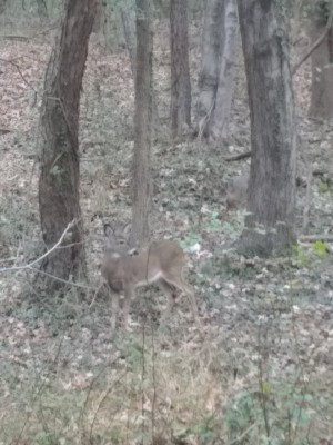 2020-11-21_09-48-00_-_hiking.jpg