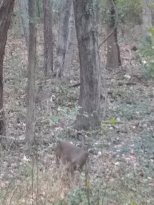 2020-11-21_09-48-16_-_hiking.jpg