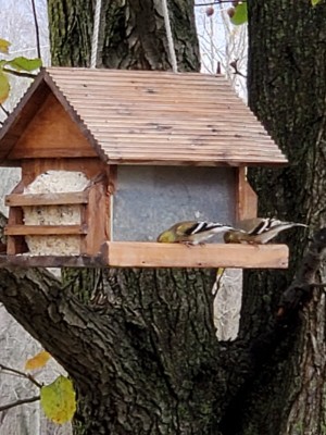 20201122_153851.jpg