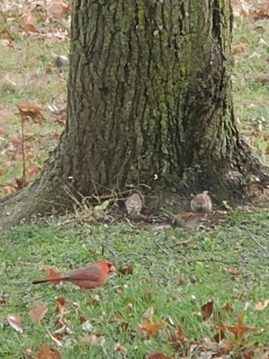20201122_155614.jpg