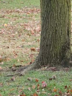 20201122_144021_capture.jpg