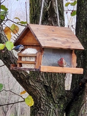 20201122_162628.jpg