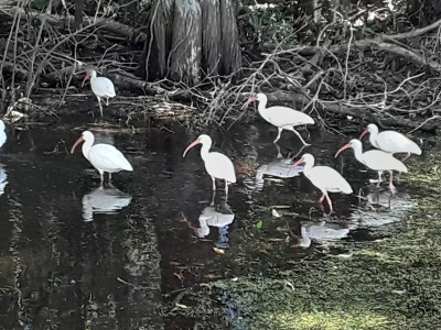 20201120_130410.jpg