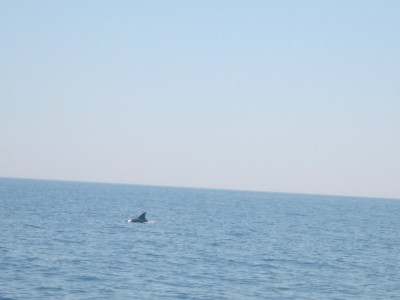 IMG_0766.JPG