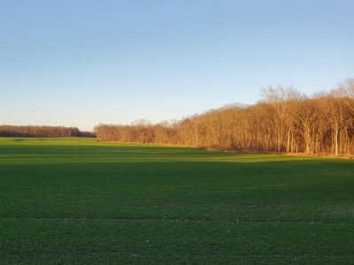 20201126_173430.jpg