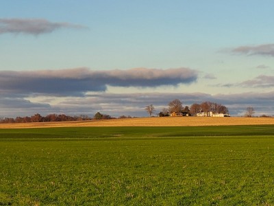 20201126_164715.jpg