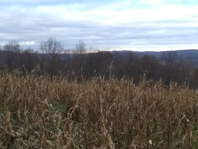 IMG_20201126_160751838.jpg