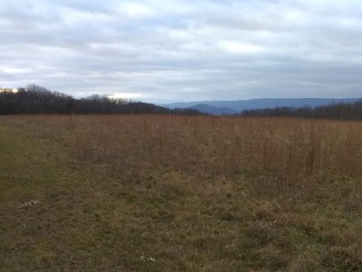 IMG_20201126_160821947.jpg