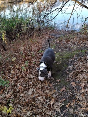 20201127_155827_HDR.jpg