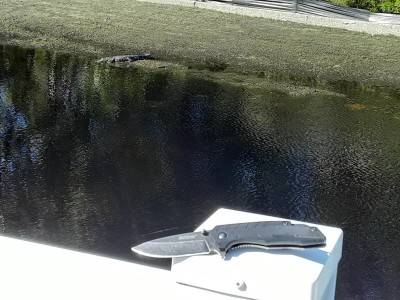 20201128_120013.jpg