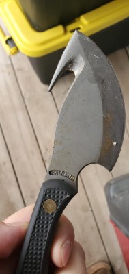 20201129_095515.jpg