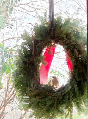 20201129_115013.jpg