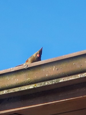 20201129_132107.jpg