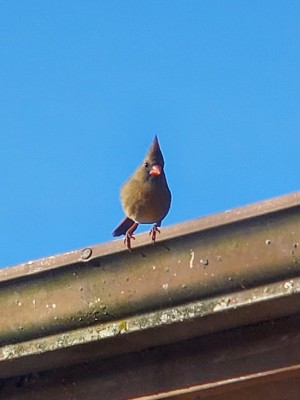 20201129_130318.jpg