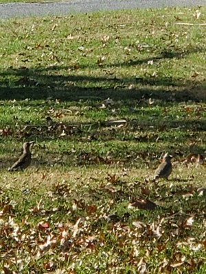 20201129_092019.jpg