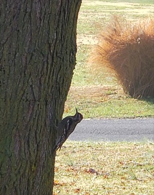 20201129_141206.jpg