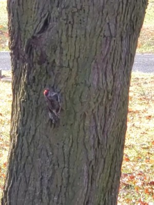 20201129_141354.jpg