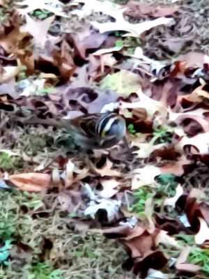 20201129_183130.jpg