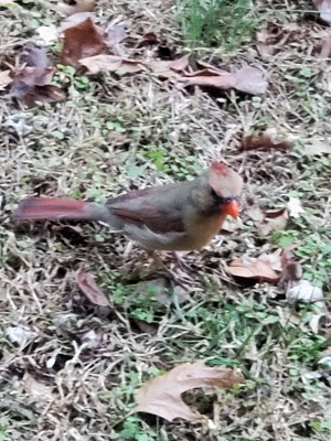20201129_184238.jpg