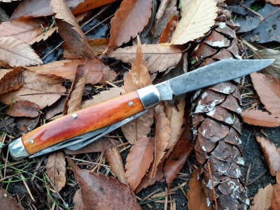 thumbnail_20201123_125457.jpg