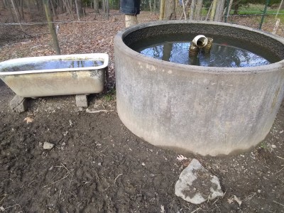 IMG_20201127_110234970.jpg