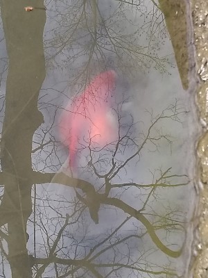 IMG_20201127_110109202.jpg