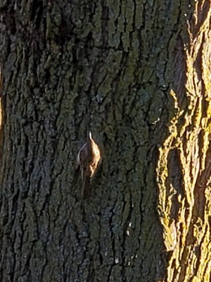 20201201_160905.jpg