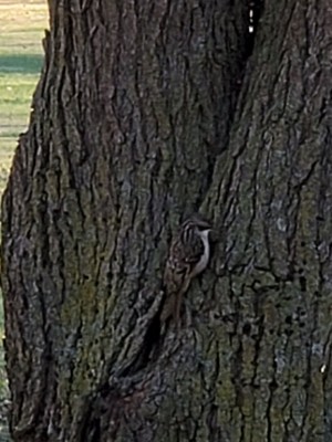20201201_160933.jpg
