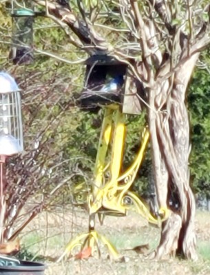 20201201_172238.jpg