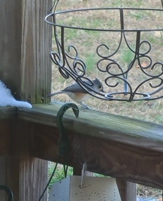 20201201_172137.jpg