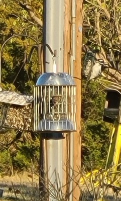 20201201_170155.jpg
