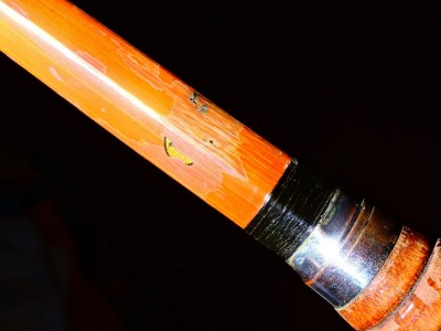 DSCN6226.JPG