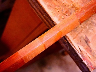 DSCN6317.JPG