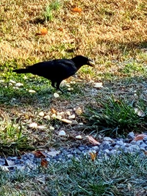 20201202_093205.jpg