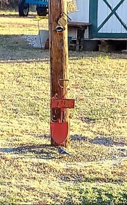 20201202_090510.jpg