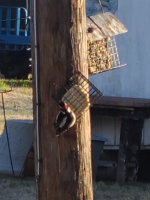 20201202_090316.jpg
