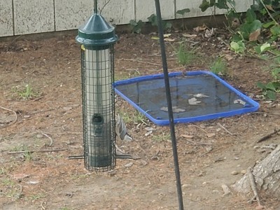 20201202_134859.jpg