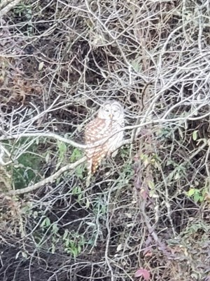20201202_172353.jpg