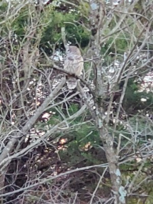 20201202_172558.jpg