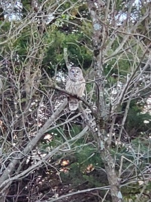 20201202_172143.jpg
