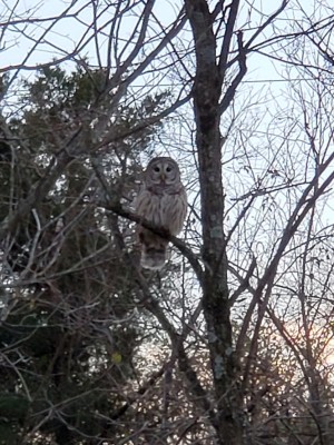 20201202_182541.jpg
