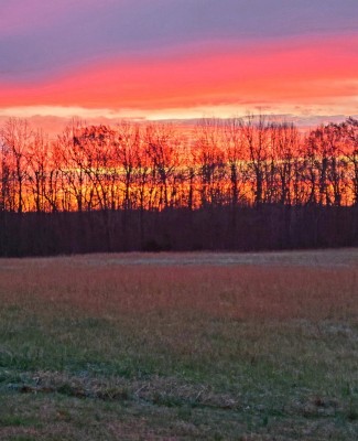 20201203_081413.jpg