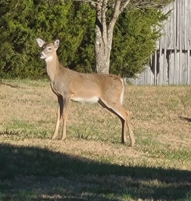 20201203_082020.jpg