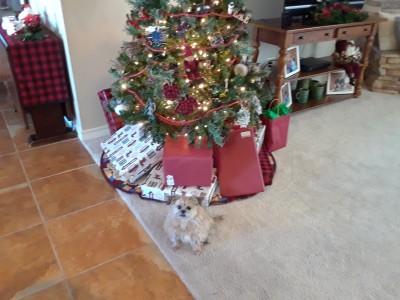 20201130_110839.jpg