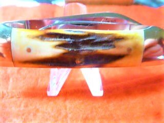 P1030941 (2).JPG