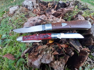 GEC 74 Mustang 2020 -  S&amp;M whittler 2004