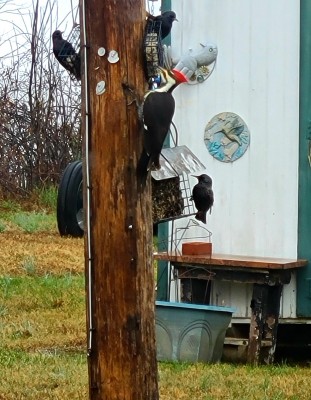 20201204_134419.jpg