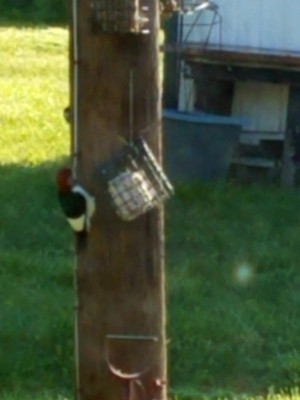 20201204_161437.jpg