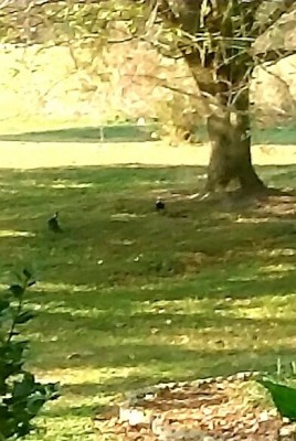 20201204_155237.jpg